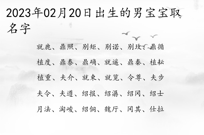 2023年02月20日出生的男宝宝取名字 02月份出生的男宝宝名字大全