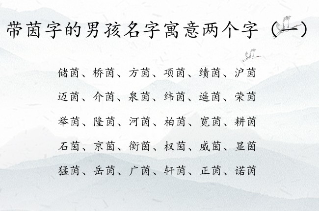 带茵字的男孩名字寓意两个字 茵字辈的男孩名字大全