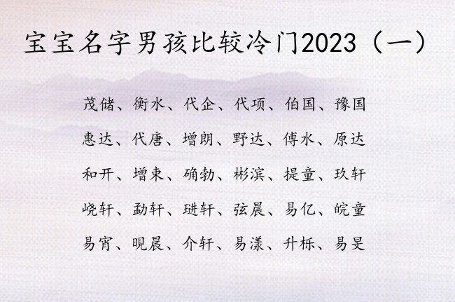 宝宝名字男孩比较冷门2023 宝宝名字大全男孩兔宝