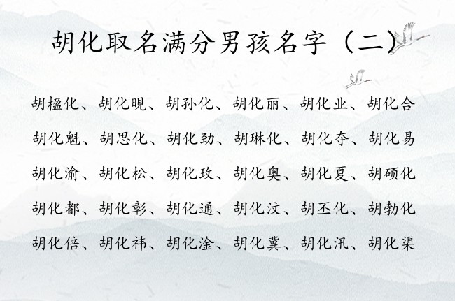 胡化取名满分男孩名字 姓胡的男孩名字大全带化的名字