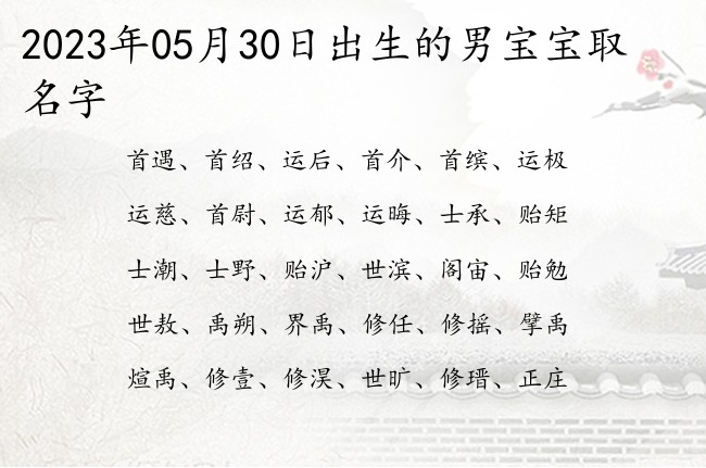 2023年05月30日出生的男宝宝取名字 比较儒雅的可以做男孩名字的字