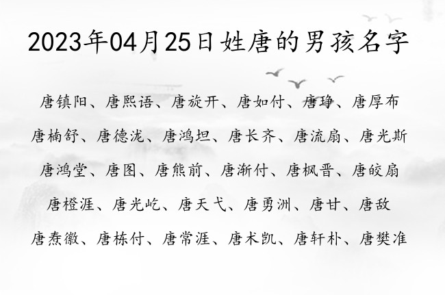 2023年04月25日姓唐的男孩名字 姓唐的男孩名字有寓意两个字