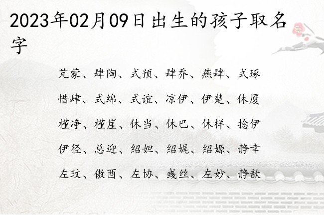 2023年02月09日出生的孩子取名字 宝宝名字大全好听文雅的有寓意