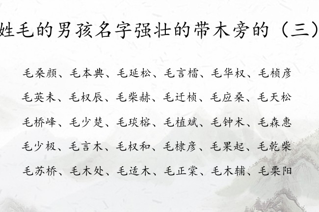 姓毛的男孩名字强壮的带木旁的 木旁起名男孩名字