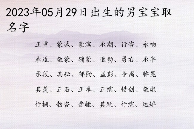 2023年05月29日出生的男宝宝取名字 男宝冷门最儒雅古韵的男孩名字