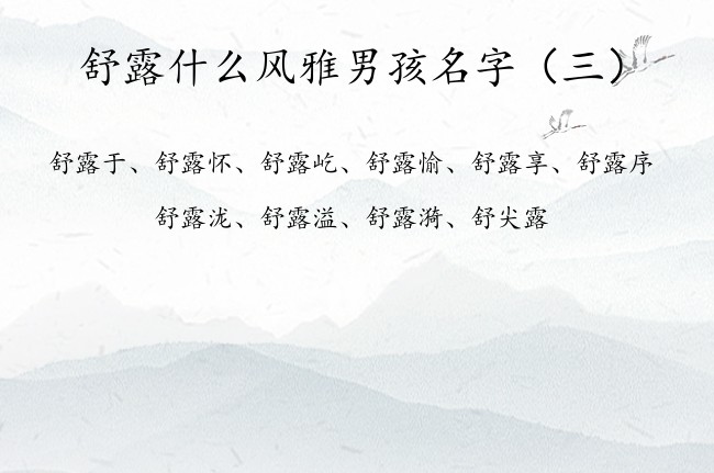 舒露什么风雅男孩名字 姓舒的男孩名字大全露字辈