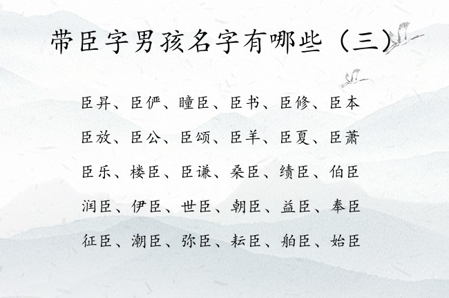 带臣字男孩名字有哪些 与臣结合文雅的男孩名字