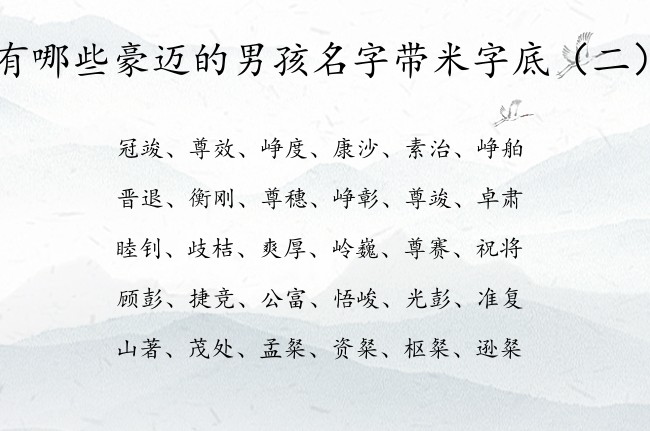 有哪些豪迈的男孩名字带米字底 带米字底字的男孩名字
