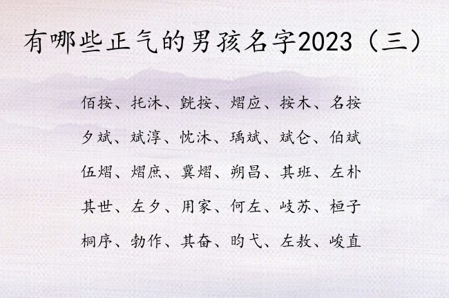 有哪些正气的男孩名字2023 最多人取的男孩名字