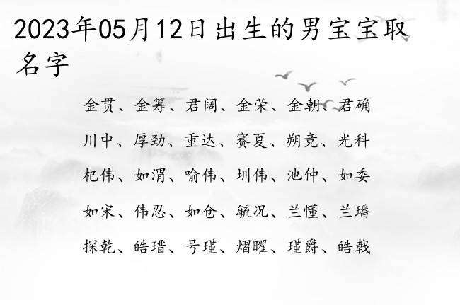 2023年05月12日出生的男宝宝取名字 一个字起名男孩名字参考大全