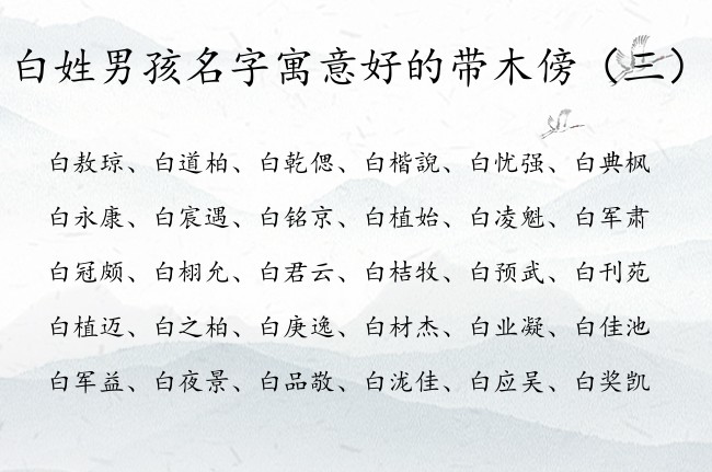 白姓男孩名字寓意好的带木傍 白姓木命男孩名字有哪些