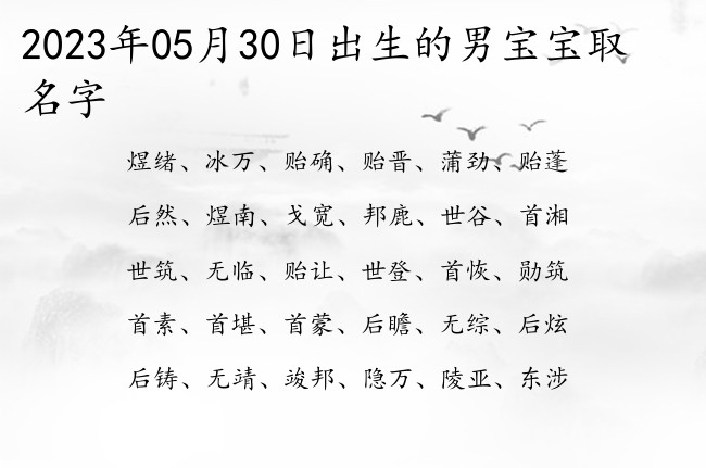 2023年05月30日出生的男宝宝取名字 比较灵性的可以做男孩名字的字