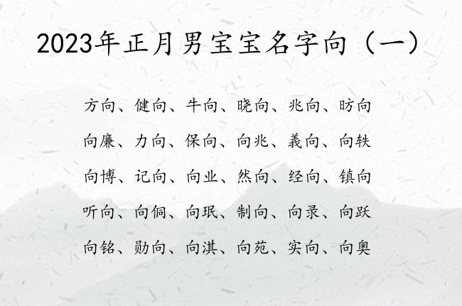 2023年正月男宝宝名字向 向字取名男孩名字金牛座