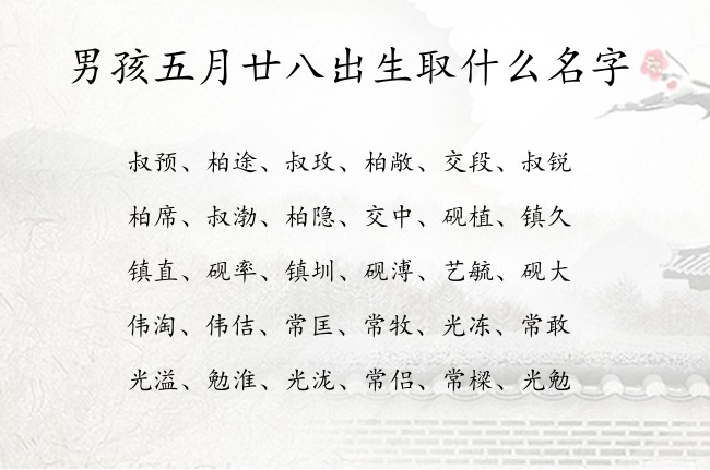 男孩五月廿八出生取什么名字 男孩名字最流行的汉字兔宝宝