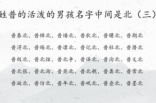 姓普的活泼的男孩名字中间是北 普姓男宝宝起名有北字