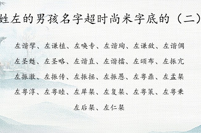 姓左的男孩名字超时尚米字底的 带米字底的男宝宝名字