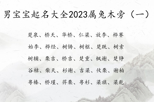 男宝宝起名大全2023属兔木旁 宝宝起名木旁男宝