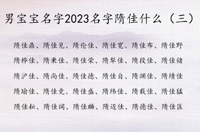 男宝宝名字2023名字隋佳什么 隋佳什么男孩名字