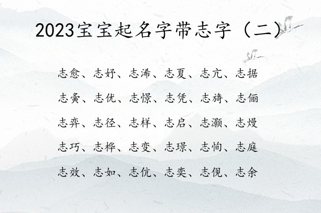 2023宝宝起名字带志字 宝宝起名字2023志开头