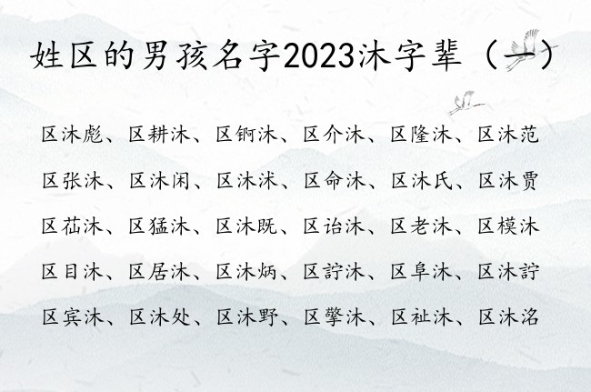 姓区的男孩名字2023沐字辈 男宝宝名字区沐什么