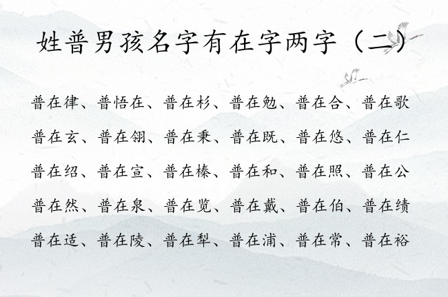 姓普男孩名字有在字两字 普在后面起个男孩名字