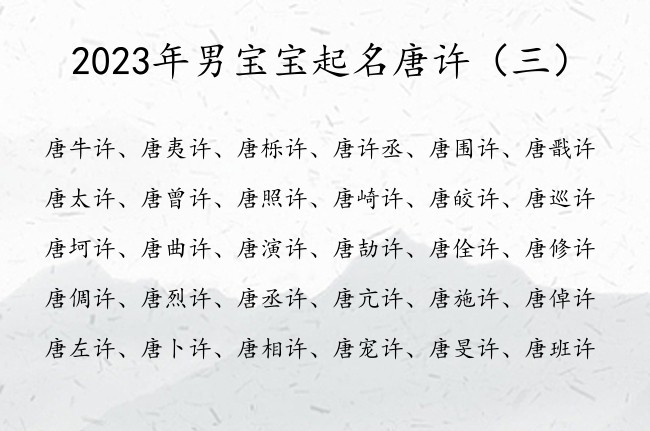 2023年男宝宝起名唐许 唐许后面加个字男孩名字