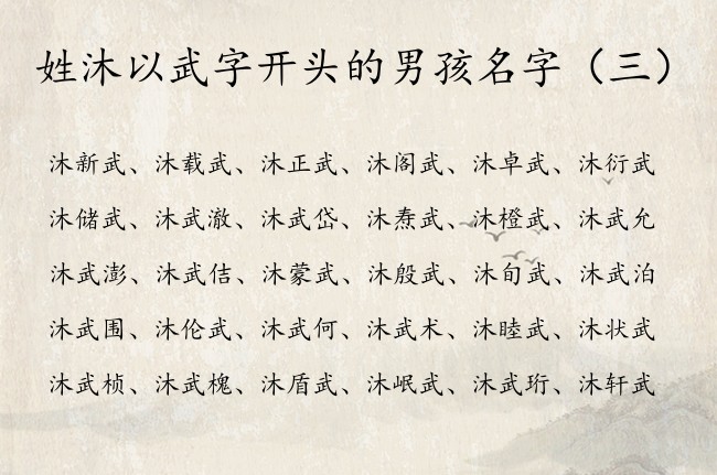 姓沐以武字开头的男孩名字 姓沐的男宝宝名字带武字