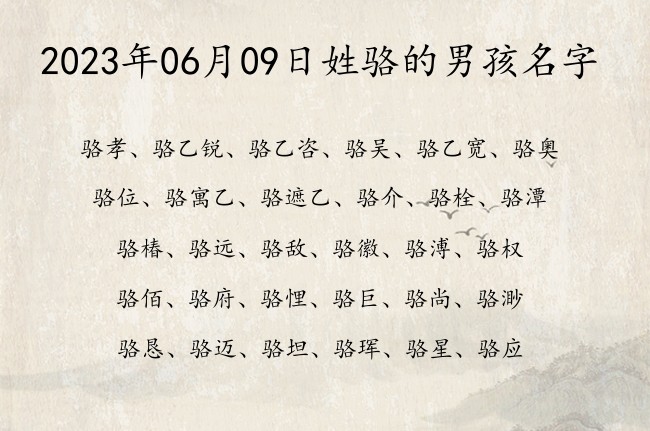 2023年06月09日姓骆的男孩名字 姓骆的宝宝起名大全男孩单字