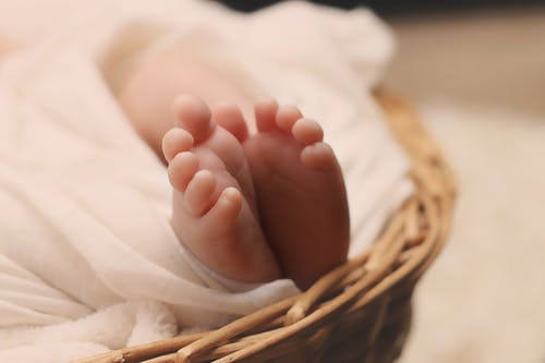 8月出生的虎宝宝起名带远 8月出生的虎宝宝名字带远